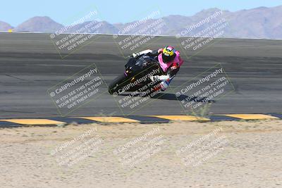 media/Mar-10-2024-SoCal Trackdays (Sun) [[6228d7c590]]/2-Bowl (10am)/